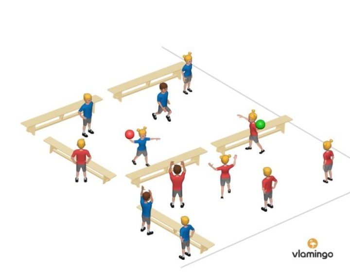 zweifelderbaldcartoon