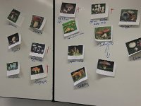 IMG 3892