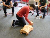 IMG 4087
