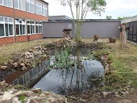 IMG 4177