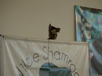 DSC07628