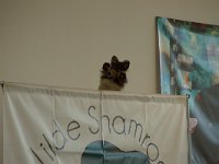 DSC07629